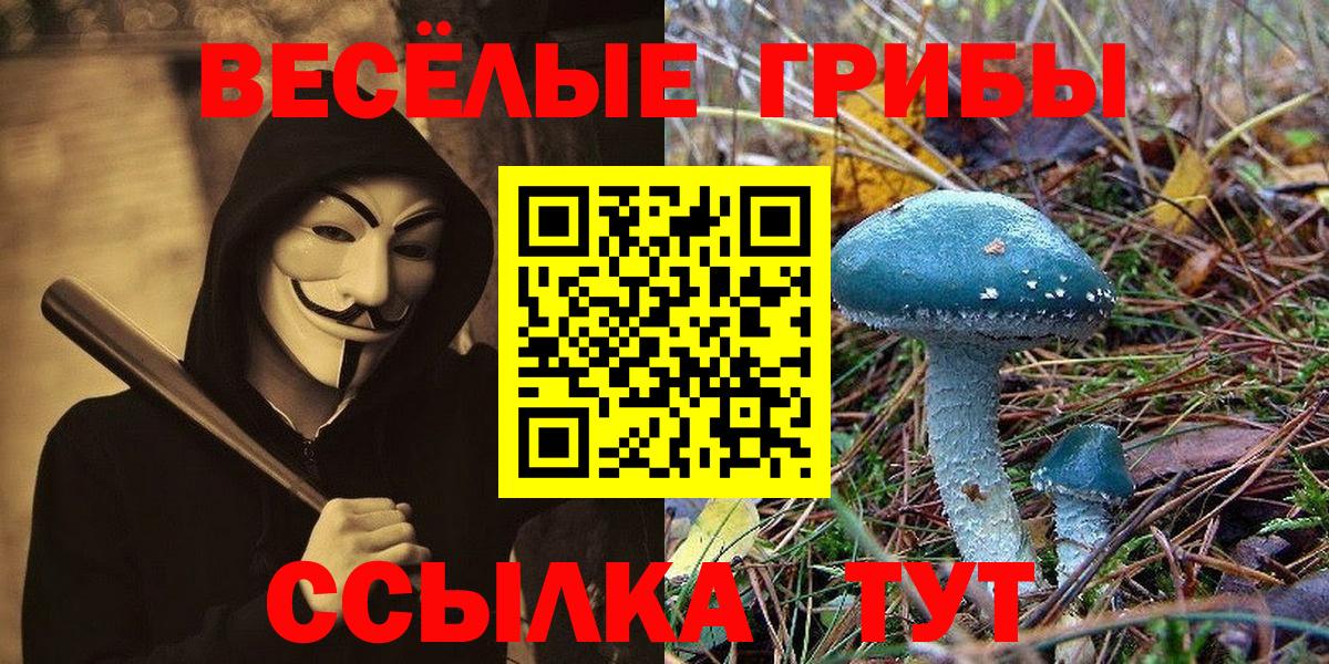 Печора  Псилоцибиновые грибы мухоморы  Псилоцибиновые грибы Psilocybe  Вход с VPN 